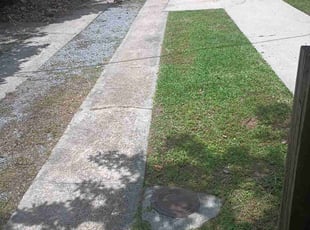 Leaf Removal by Brian Clay for Sarah H. in New Orleans, LA