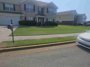 Chuck T.'s Lawn Mowing service result