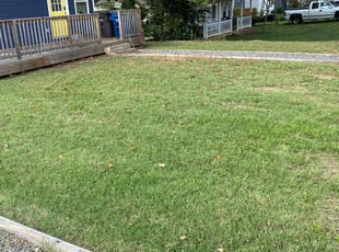 Deborah G.'s Lawn Care service result