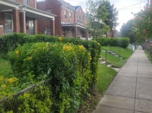 Cleanups by Chris Stewart for Savannah D. in Washington, DC