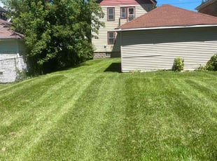 Susan S.'s Lawn Service service result