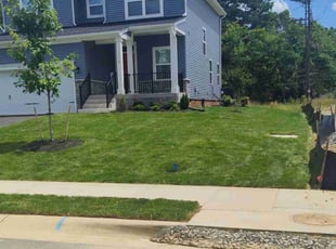 tina s.'s Lawn Mowing service result
