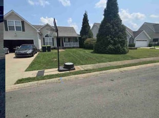 Aaron R.'s Yard Cutting service result