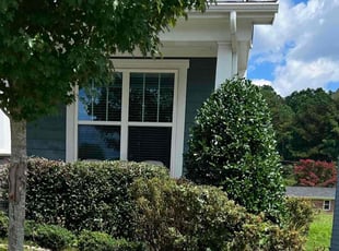 Bush Trimming by Green Juniper for Maria k. in Raleigh, NC