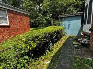 Bush Trimming by J Villagran for Steven M. in Takoma Park, MD
