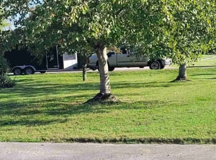Jaime D.'s Lawn Service service result