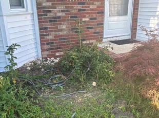 Weeding by Michael Basile for Terence J. in Sayreville, NJ