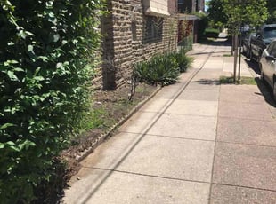 Leaf Removal by Maurice Downing for Daniel C. in Philadelphia, PA