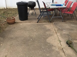 Cleanups by Bryan Scarborough for Mickey H. in St. Louis, MO