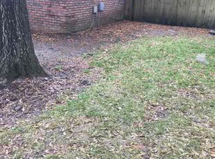 Leaf Removal by Vee Primus for GUS D. in Jacksonville, FL
