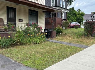 Bush Trimming by David Bowen for Lily D. in Syracuse, NY