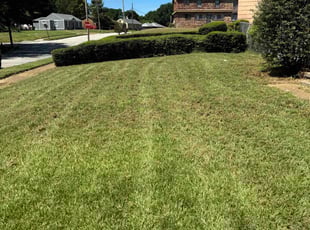 Richard M.'s Yard Cutting service result