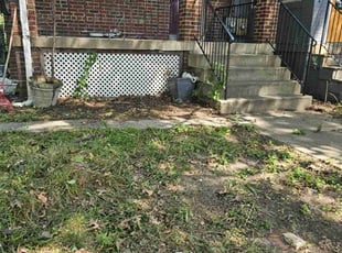 Leaf Removal by Artavius Clark for Brittany P. in Washington, DC