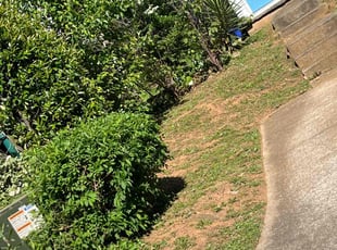 Bush Trimming by Jovon Braddy for Charles L. in Smyrna, GA