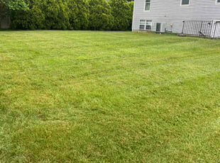 Joseph G.'s Lawn Maintenance service result