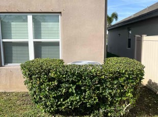 Bush Trimming by Paul Bartholomew for Courtney S. in Palm Bay, FL