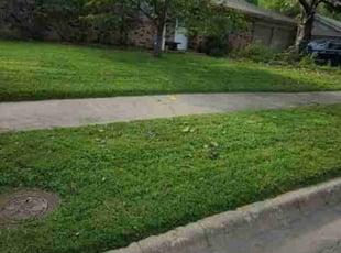 Jan E.'s Lawn Mowing service result