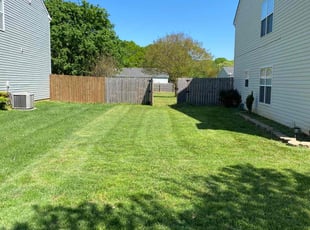 Todd S.'s Lawn Mowing Service service result