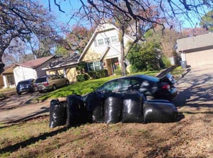 Leaf Removal by Brian Evans for Susan R. in Arlington, TX