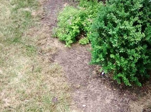 Cleanups by Eric Michaell Jackson for Tim M. in Pittsburgh, PA