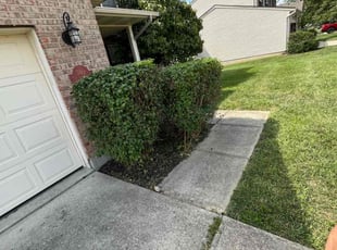 Bush Trimming by Korey Barton for Nicole J. in Hamilton, OH