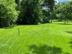 Emily S.'s Lawn Care service result