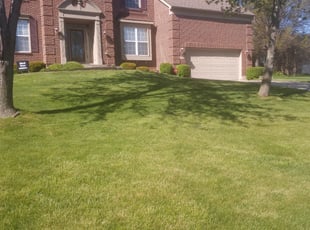 Bush Trimming by Patrick SMITH for Tina B. in Cincinnati, OH