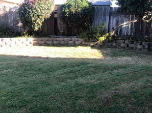 Bush Trimming by Kenneth Iverson for Blair K. in San Diego, CA