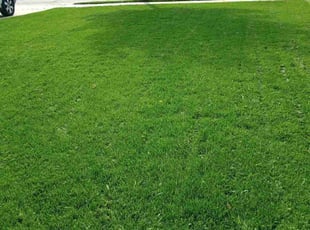 James H.'s Lawn Service service result