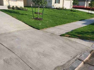 Jeff P.'s Lawn Care service result