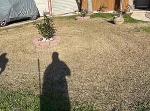 Leaf Removal by Carlos Arteaga for Stephanie M. in San Antonio, TX