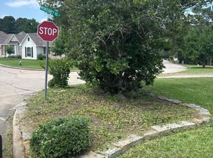 Bush Trimming by Jordan Dickerson for Robert E. in Montgomery, TX
