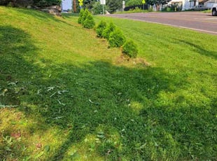 Amy M.'s Lawn Maintenance service result