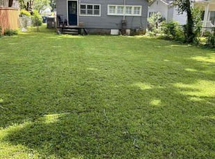 Charles A.'s Lawn Mowing service result