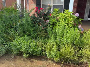 Weeding by Destiny Kelly for Zayne I. in Madison, AL
