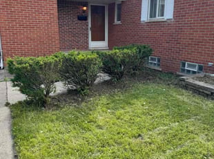 Bush Trimming by Adam Bachir for Uroosa H. in Dearborn Heights, MI