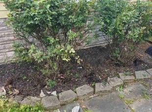 Weeding by Brian Franz for david s. in Paeonian Springs, VA