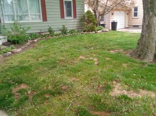 Leaf Removal by Curtis Cullity for Travis S. in Marysville, MI