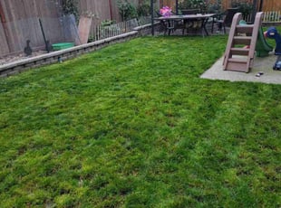 Susan D.'s Lawn Mowing Service service result