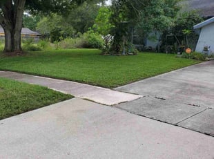 David C.'s Lawn Mowing Service service result