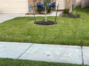 Thomas R.'s Lawn Care service result