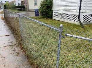 Serlena Y.'s Lawn Mowing service result