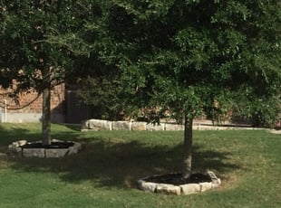 Mulching by Sebastion Hammonds for Daniel B. in Austin, TX
