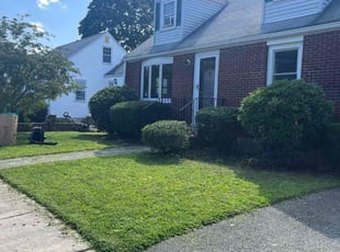 Bush Trimming by Randy Regis for Giuliana (on behalf of Jacqueline) B. in Boston, MA