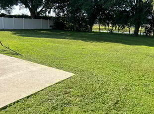Rachel K.'s Lawn Care service result