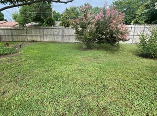 Dwight B.'s Grass Cutting service result