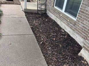 Cleanups by Victor/ Madeline Ramirez for Melissa I. in Arlington, TX