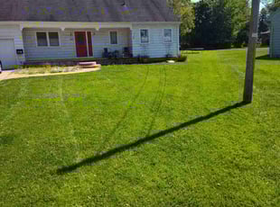 Melissa R.'s Lawn Service service result