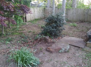 Cleanups by Greg Bush for Lianne M. in Bowie, MD