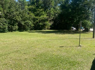 Francheska M.'s Lawn Maintenance service result